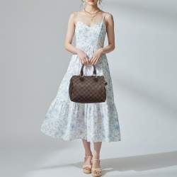 Pre Owned حقيبة لوي فيتون سبيدي كانفاس دامير إبيني 25