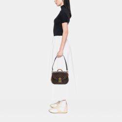Pre Owned Louis Vuitton Brown Monogram Eden MM