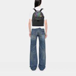 Pre Owned حقيبة ظهر لويس فيتون جوش دامير جرافيت محدودة الإصدار بشعار قوس قزح سوداء