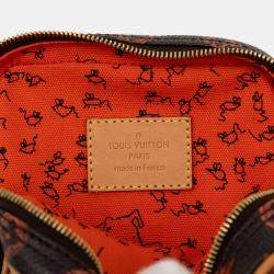 Pre Owned Louis Vuitton Brown Grace Coddington Catogram Paname PM