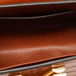 Pre Owned Louis Vuitton Twist PM Brown Crocodile Bag