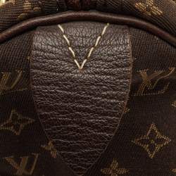 Pre Owned Louis Vuitton Fusain Monogram Mini Lin Canvas Speedy 30 Bag
