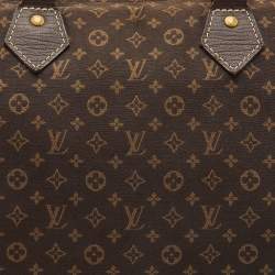 Pre Owned Louis Vuitton Fusain Monogram Mini Lin Canvas Speedy 30 Bag