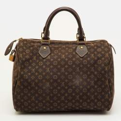 Pre Owned Louis Vuitton Fusain Monogram Mini Lin Canvas Speedy 30 Bag