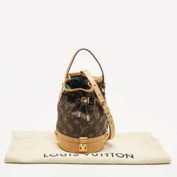 Pre Owned حقيبة دلو لويس فيتون نو ترنك بيتي مونوغرام كانفاس