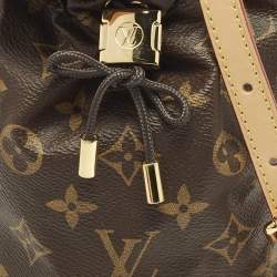 Pre Owned حقيبة دلو لويس فيتون نو ترنك بيتي مونوغرام كانفاس