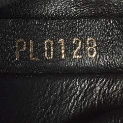 Pre Owned حقيبة دلو لويس فيتون نو ترنك بيتي مونوغرام كانفاس