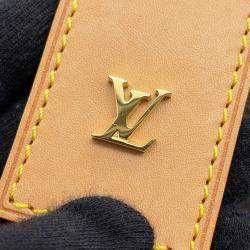 Pre Owned Louis Vuitton High Rise Brown/Ivory Monogram Handbag