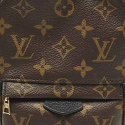 Pre Owned Louis Vuitton Palm Springs Mini Monogram Canvas Backpack