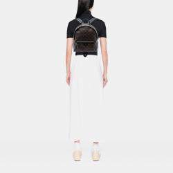 Pre Owned Louis Vuitton Brown Monogram Palm Springs MM