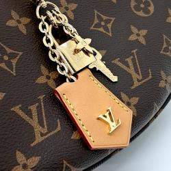 Pre Owned Louis Vuitton Brown Leather and PVC Monogram Looping NM