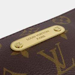 Pre Owned Louis Vuitton Brown Canvas Pochette Eva
