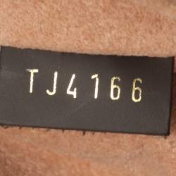 Pre Owned Louis Vuitton Damier Ebene Canvas Kensington Bowling Bag