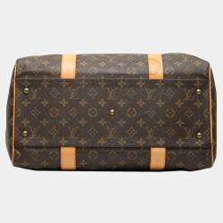 Pre Owned حقيبة لوي فيتون بريوني أحرف مونوغرام بنيه