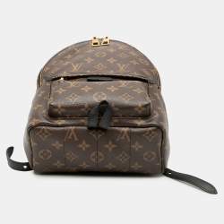 Pre Owned Louis Vuitton Brown Monogram Palm Springs PM