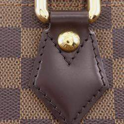 Pre Owned حقيبة لوي فيتون ساليا بني دامير إبيني PM