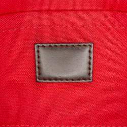 Pre Owned حقيبة فيفوريت PM لويس فيتون دامير إبين بني