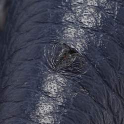 Pre Owned Louis Vuitton Capucines Mini Navy Blue Leather and Python Top Handle Bag