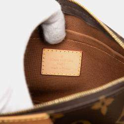 مملوكة مسبقًا حقيبة لوي فيتون بوشت موني غرام بنية متعددة الاستخدامات