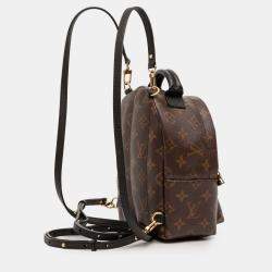 Pre Owned Louis Vuitton Brown Monogram Mini Palm Springs