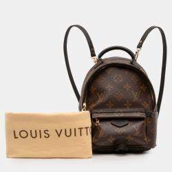 Pre Owned Louis Vuitton Brown Monogram Mini Palm Springs