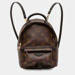 Pre Owned Louis Vuitton Brown Monogram Mini Palm Springs