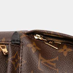 Pre Owned Louis Vuitton Brown Monogram Mini Palm Springs