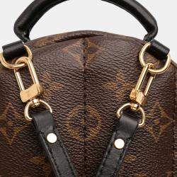 Pre Owned Louis Vuitton Brown Monogram Mini Palm Springs