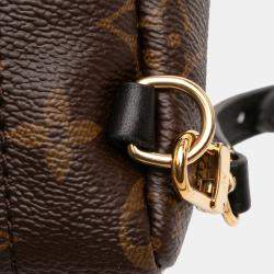Pre Owned Louis Vuitton Brown Monogram Mini Palm Springs