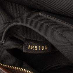 Pre Owned Louis Vuitton Brown Monogram Mini Palm Springs