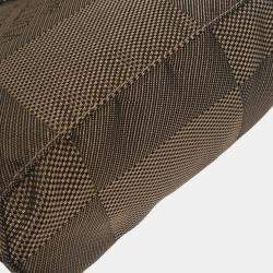 Pre Owned حقيبة كتف لويس فيتون تير دامير جيانت سيتادين بي إم