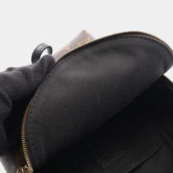 مملوكة مسبقًا حقيبة ظهر لويس فيتون ميني بالم سبرينغز كانفاس مغطى جلد مونوغرام بني أسود