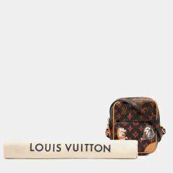 مملوكة مسبقًا Louis Vuitton Brown Grace Coddington Catogram Paname PM