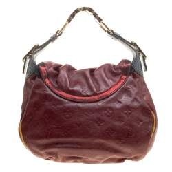 مملوكة مسبقًا حقيبة لوي فيتون ابيكس كالاهاري إصدار محدود مونوغرامية بابريكا PM