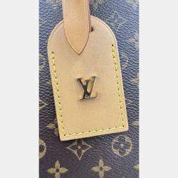Pre Owned Louis Vuitton Petite Boite Chapeau GM Brown Monogram Canvas Crossbody Bag