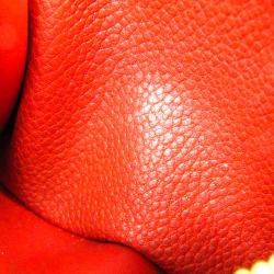 مملوكة مسبقًا محفظة لوي فيتون بون نوف كانفاس سيريز إمبرينت