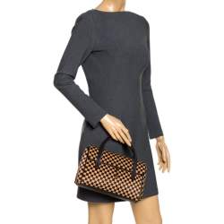 Louis Vuitton Limited Edition Lionne Damier Sauvage Calf-hair Handbag – GEM  Pawnbrokers