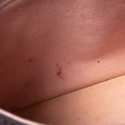 Pre Owned حقيبة كتف لوي فيتون Caïssa  كانفاس دامييه أيبيين