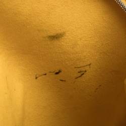 مملوكة مسبقًا حقيبة لوي فيتون ألما جلد إيبي سيترون صفراء صغيرة