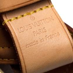 Pre Owned Louis Vuitton Monogram Canvas Multiple Cite Bag