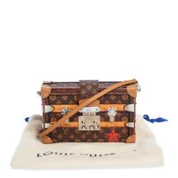 Pre Owned Louis Vuitton Monogram Canvas Petite Malle Bag