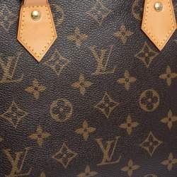 Pre Owned Louis Vuitton Monogram Canvas Alma PM Bag