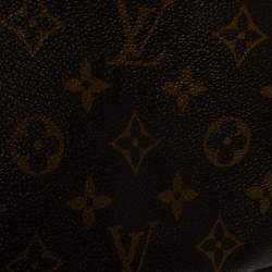 Louis Vuitton Monogram Canvas Pochette Accessoires