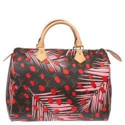 مملوكة مسبقًا Louis Vuitton Monogram Canvas Limited Edition Jungle Dots Speedy 30