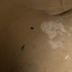 مملوكة مسبقًا حقيبة لوي فيتون توتالي جلد وكانفاس آزور دامييه صغيرة