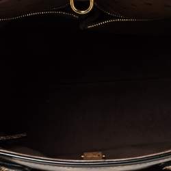 مملوكة مسبقًا Louis Vuitton Monogram Canvas Limited Edition Etoile Exotique GM Bag