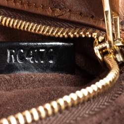 Pre Owned Louis Vuitton Monogram Canvas Limited Edition Etoile Exotique GM Bag