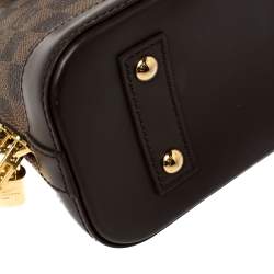 Pre Owned حقيبة لوي فيتون ألما كانفاس دامييه إيبين