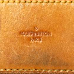 مملوكة مسبقًا حقيبة لوي فيتون ايدين صغيرة جلد و كانفاس مونوغرامي سيلست 