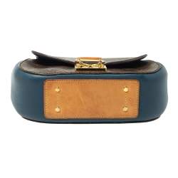 مملوكة مسبقًا حقيبة لوي فيتون ايدين صغيرة جلد و كانفاس مونوغرامي سيلست 